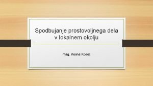 Spodbujanje prostovoljnega dela v lokalnem okolju mag Vesna