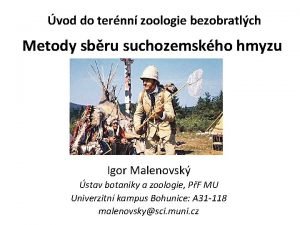 vod do ternn zoologie bezobratlch Metody sbru suchozemskho