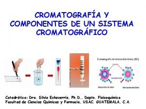 Componentes de un sistema cromatográfico