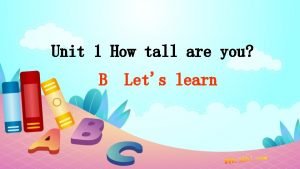 How tall are you
