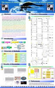 The impact of endogenous retrovirus ERVs in human