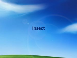 Insect dmg reduction