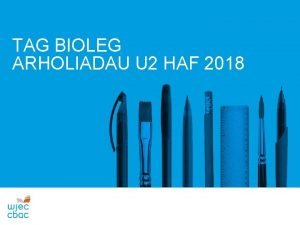 TAG BIOLEG ARHOLIADAU U 2 HAF 2018 U