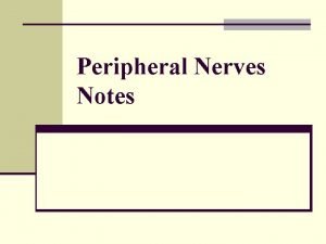 Peripheral Nerves Notes PERIPHERAL NERVES n Peripheral nervous