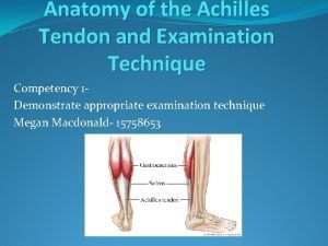 Anatomy of the Achilles Tendon and Examination Technique