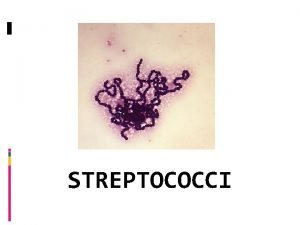 STREPTOCOCCI Streptococci Family Streptococcaceae Streptos means twisted and