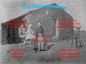 How did homesteaders survive on the plains