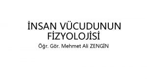 NSAN VCUDUNUN FZYOLOJS r Gr Mehmet Ali ZENGN