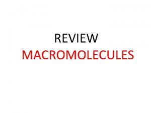 REVIEW MACROMOLECULES The four macromolecules are carbohydrates proteins