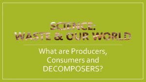What is producers consumers and decomposers