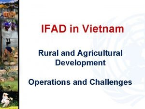 Ifad vietnam