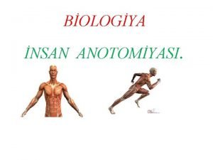 BOLOGYA NSAN ANOTOMYASI ANOTOMYA HAQQINDA Anatomiya orqanizmin orqanlarnn