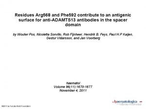 Residues Arg 568 and Phe 592 contribute to