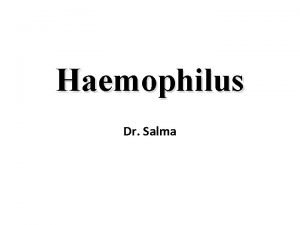 Haemophilus Dr Salma Overview Haemophilus Small Nonmotile Gramnegative