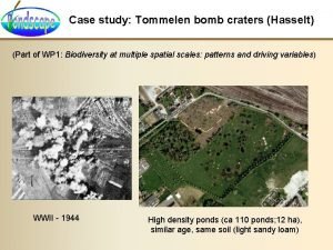 Case study Tommelen bomb craters Hasselt Part of