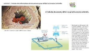 Activit 1 Extraire des informations de documents pour