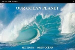 Interesting facts about the open ocean