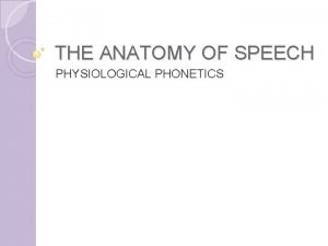 Phonetic anatomy