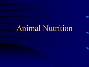 Animal Nutrition Need for Nourishment body processes require
