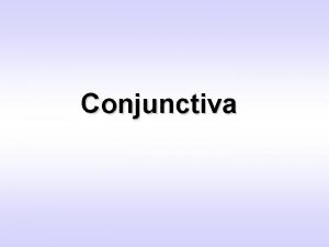 Conjuntiva anatomy