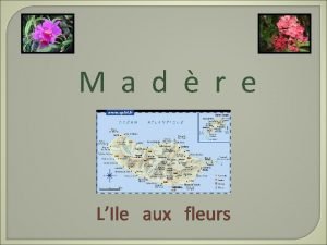 M a d r e LIle aux fleurs