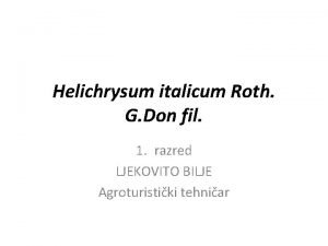 Helichrysum italicum Roth G Don fil 1 razred