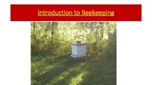 Introduction to Beekeeping Why Keep Bees People take