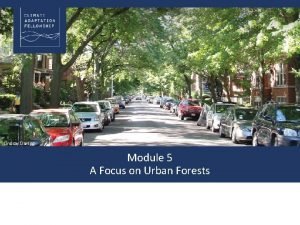 Lindsay Darling Module 5 A Focus on Urban