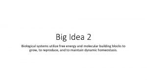 Big Idea 2 Biological systems utilize free energy