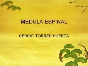 MDULA ESPINAL SERGIO TORRES HUERTA INTRODUCCIN Es la