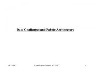 Data Challenges and Fabric Architecture 10222002 Bernd PanzerSteindel