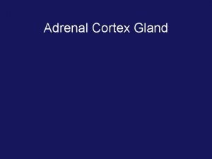 Adrenal Cortex Gland Adrenal Cortex Secretion of Cortisol