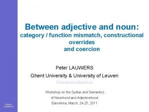 Between adjective and noun category function mismatch constructional