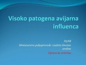 Visoko patogena avijarna influenca H 5 N 8