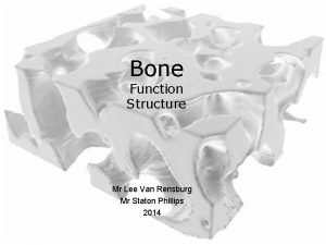 Bone Function Structure Mr Lee Van Rensburg Mr