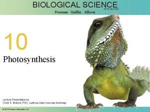 BIOLOGICAL SCIENCE Freeman Quillin Allison 10 Photosynthesis Lecture
