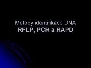 Metody identifikace DNA RFLP PCR a RAPD Molekulrn