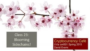 Class 23 Blooming Sidechains Cryptocurrency Caf UVa cs