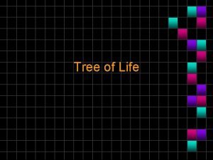 Tree of Life Tree of Life trees function
