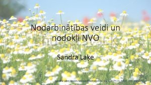 Nodarbintbas veidi un nodoki NVO Sandra Lae epasts