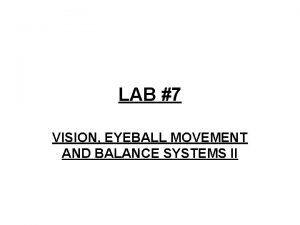 Movement vision lab