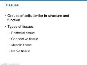 Group of cells that are similar in structure and function