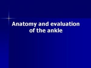 Anatomy and evaluation of the ankle Ankle n