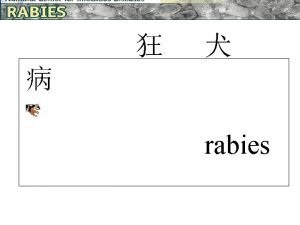 rabies the First World Rabies Day WORLD RABIES