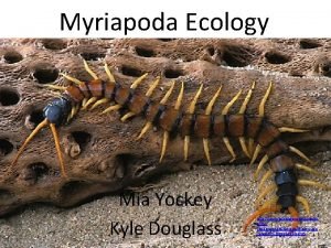 Myriapoda Ecology Mia Yockey Kyle Douglass http www