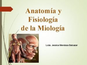 Anatoma y Fisiologa de la Miologa Lcda Jessica