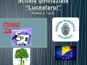 Scoala gimnaziala luceafarul