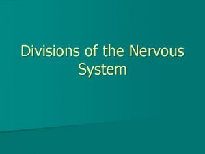 Divisions of the Nervous System The Central Nervous