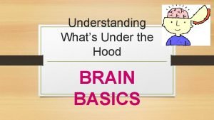 Understanding Whats Under the Hood BRAIN BASICS Questions