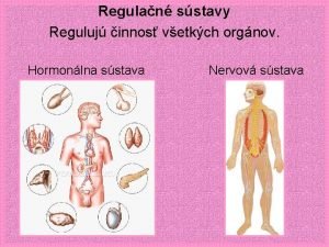 Regulan sstavy Reguluj innos vetkch orgnov Hormonlna sstava